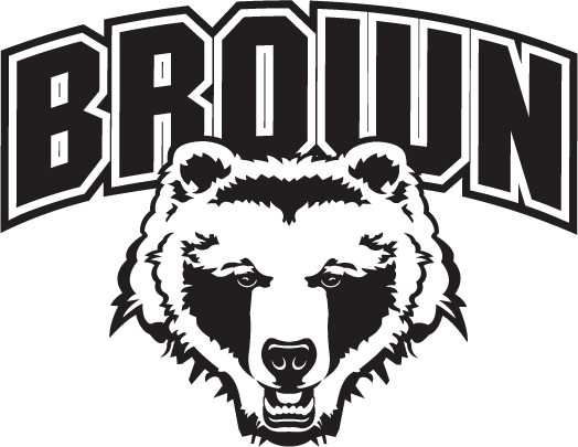Brown Bears 1997-Pres Alternate Logo iron on transfers for fabric